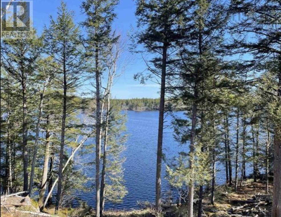 












Lot 7 Highway NO 8

,
South Brookfield,







Nova Scotia
B0T1X0

