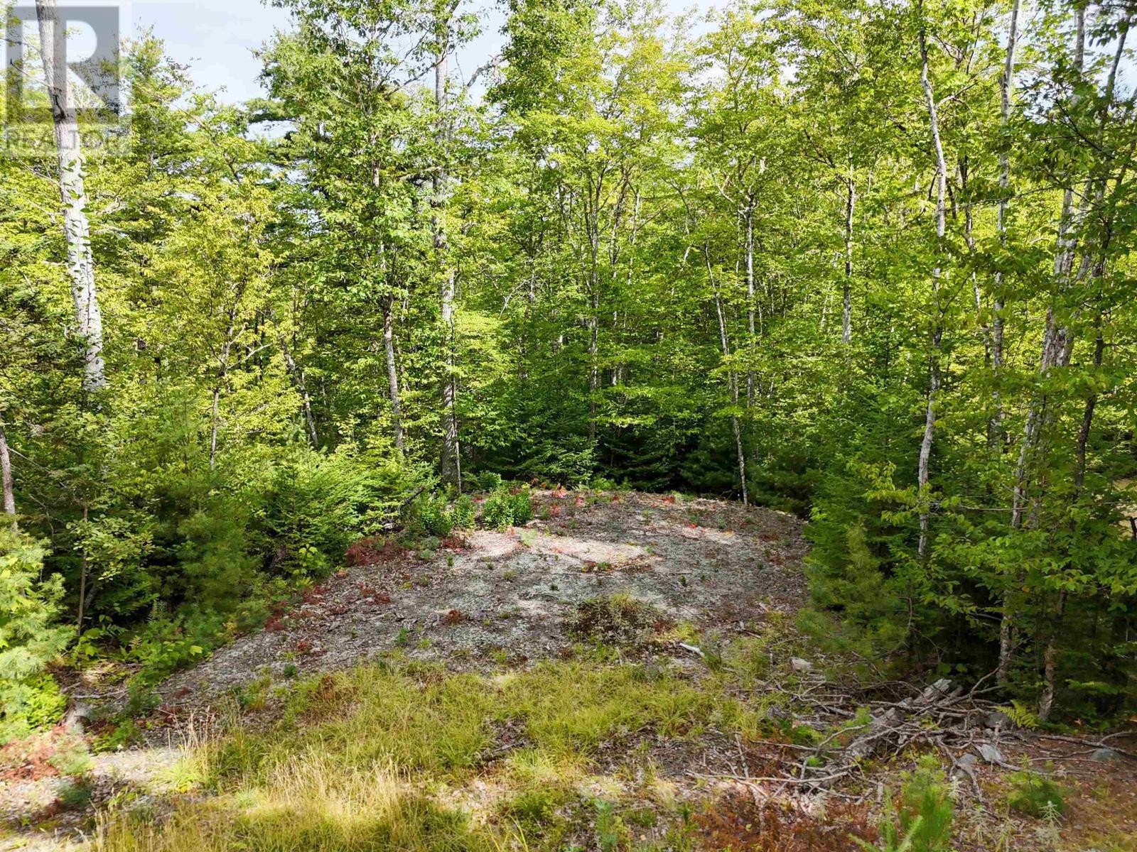 












37 148 Uhlman Point Road

,
Molega North,







Nova Scotia
B0T1X0

