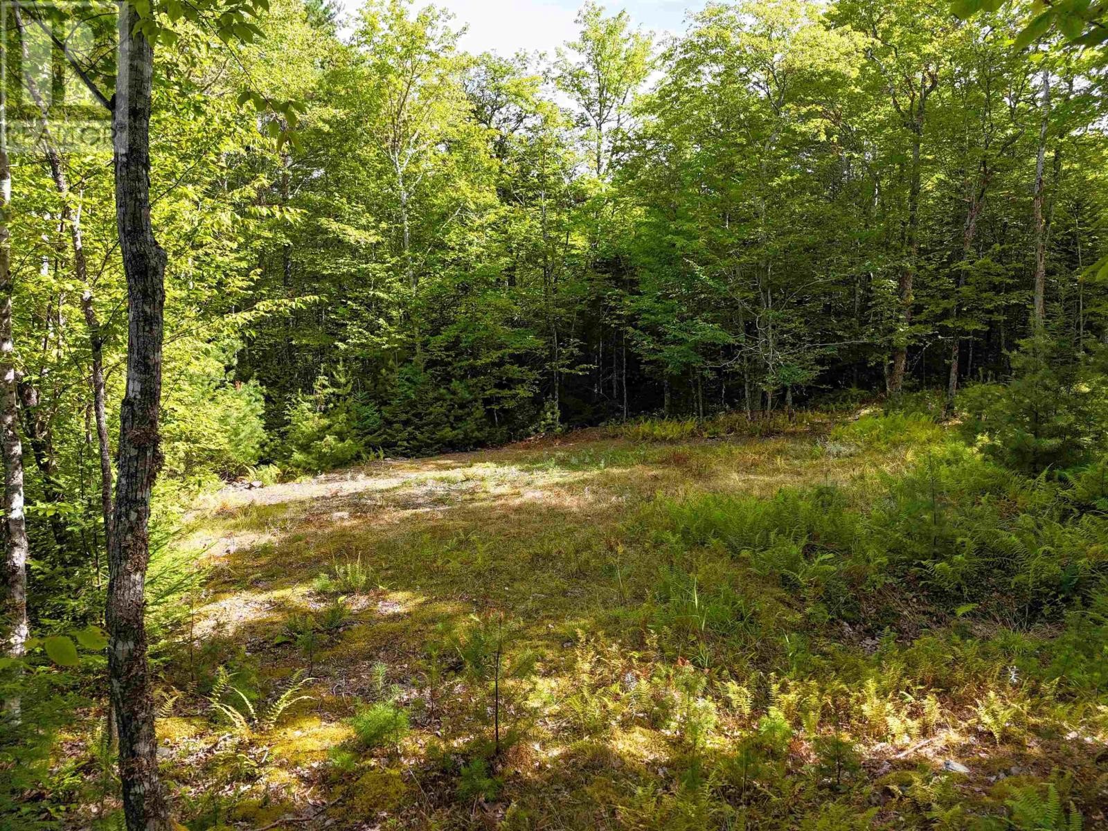 












37 148 Uhlman Point Road

,
Molega North,







Nova Scotia
B0T1X0

