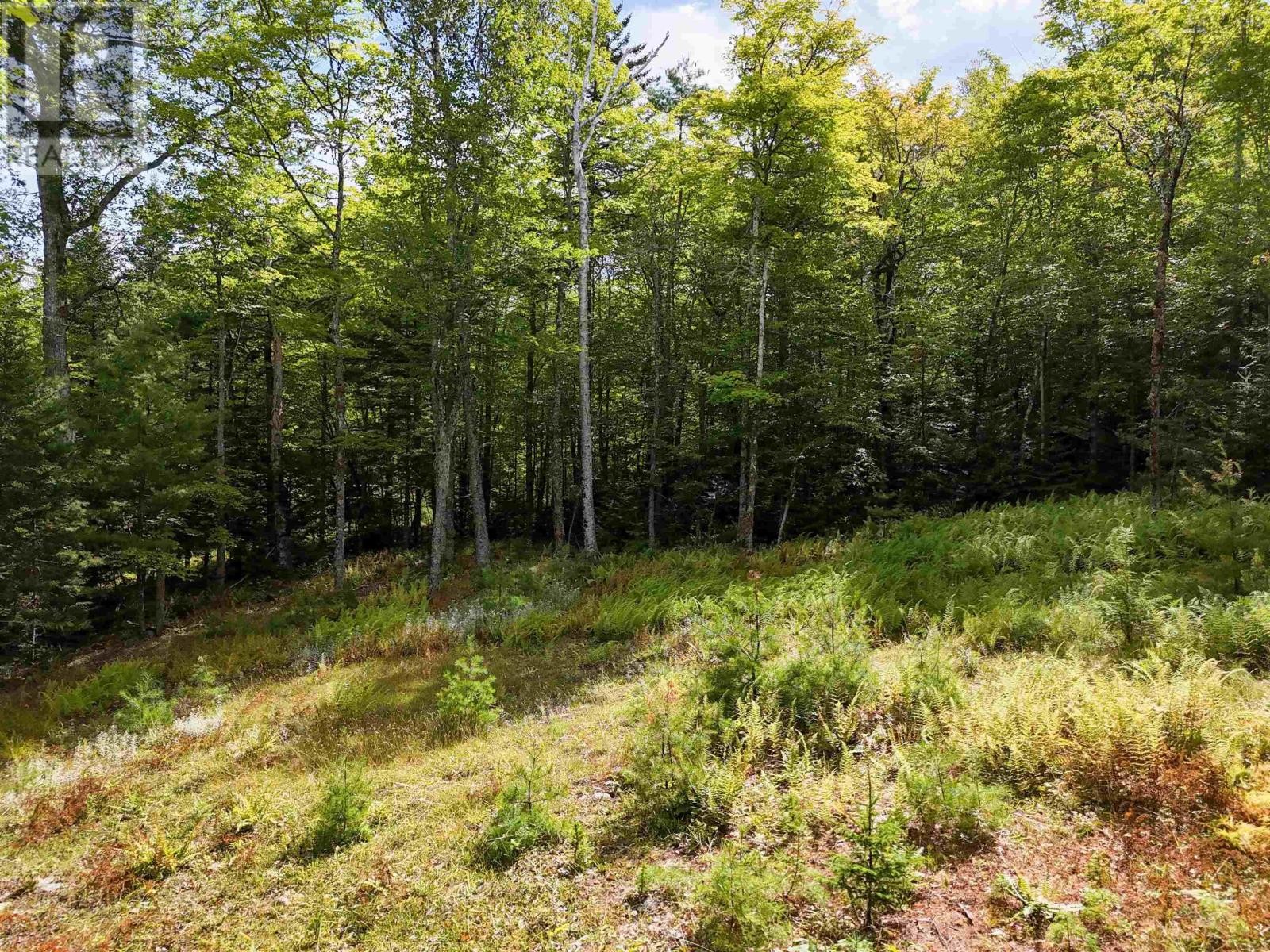 












35 142 Uhlman Point Road

,
Molega North,







Nova Scotia
B0T1X0

