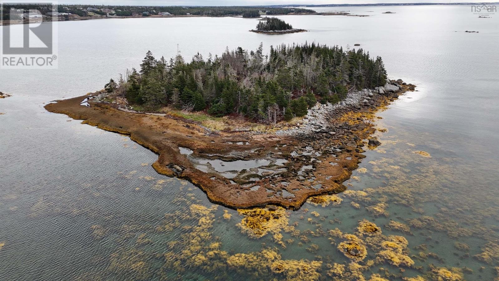 












Little Militia Island

,
Bear Point,







Nova Scotia
B0W3B0

