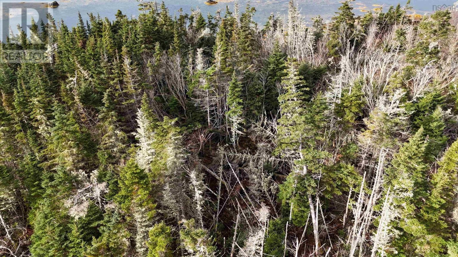 












Little Militia Island

,
Bear Point,







Nova Scotia
B0W3B0

