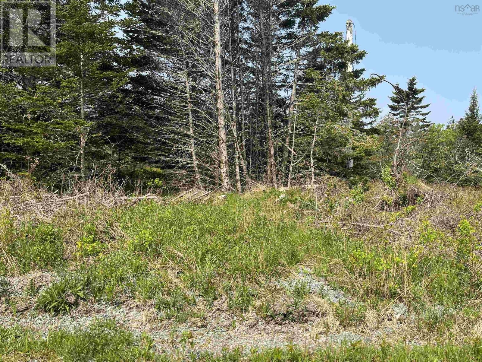 












Lot 15 Shiers Road

,
Harrigan Cove,







Nova Scotia
B0J2K0

