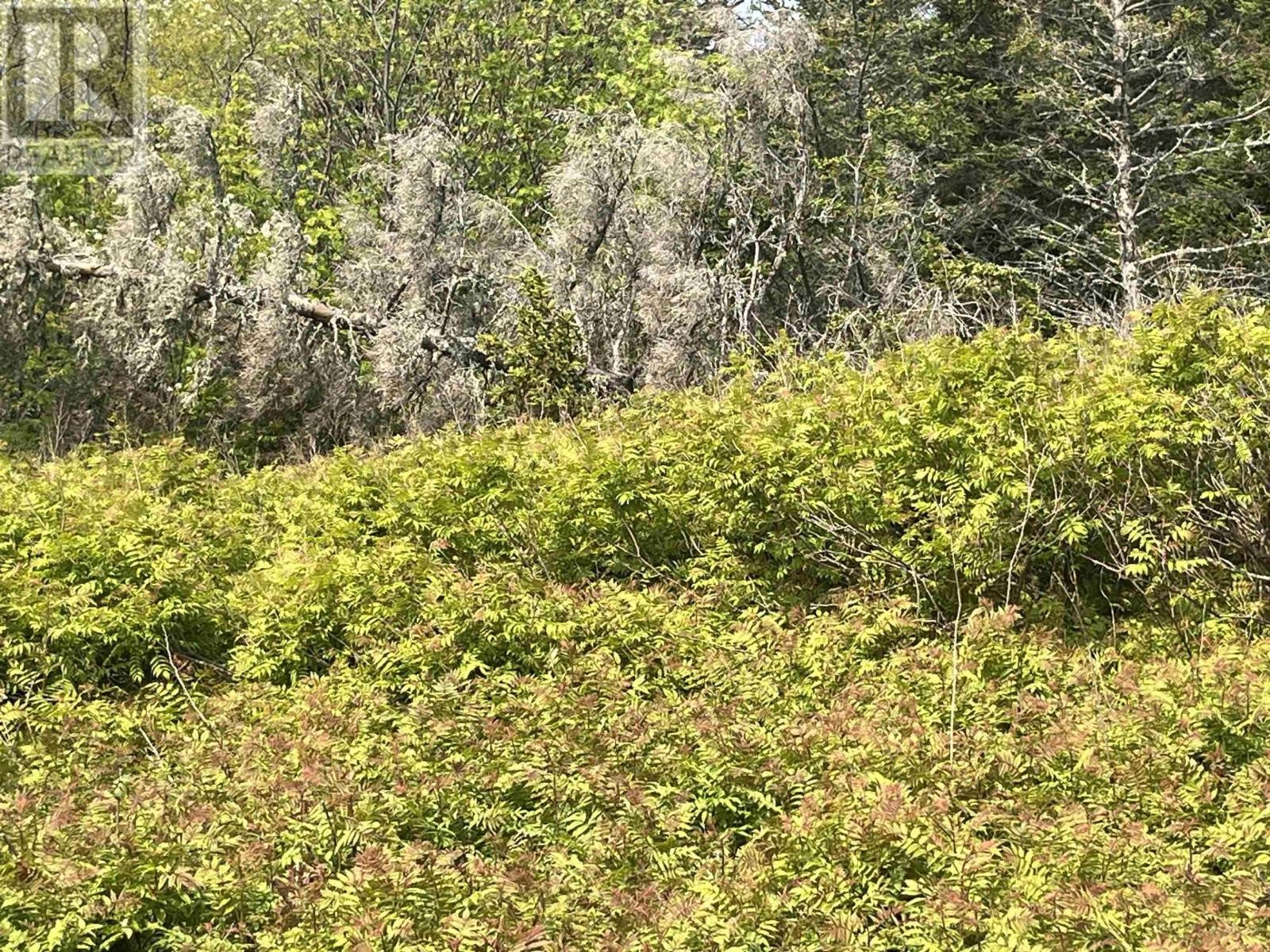 












Lot 15 Shiers Road

,
Harrigan Cove,







Nova Scotia
B0J2K0

