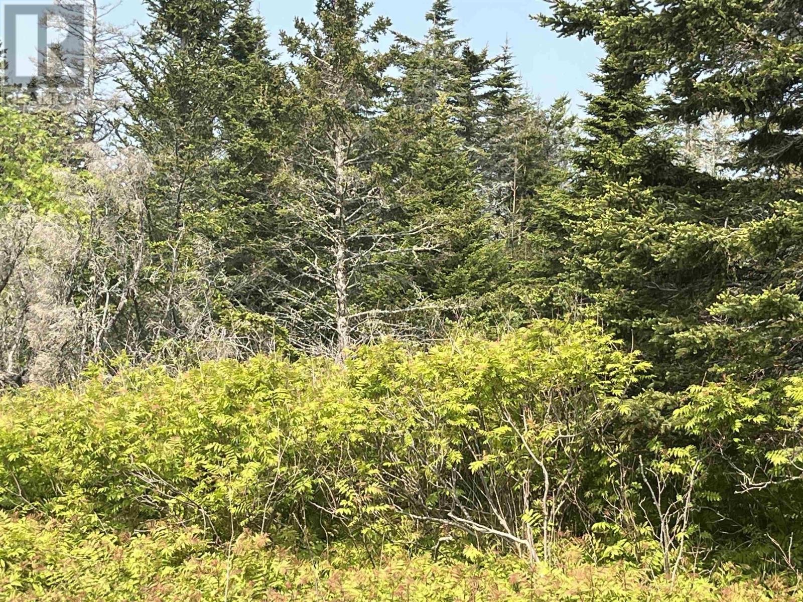 












Lot 15 Shiers Road

,
Harrigan Cove,







Nova Scotia
B0J2K0

