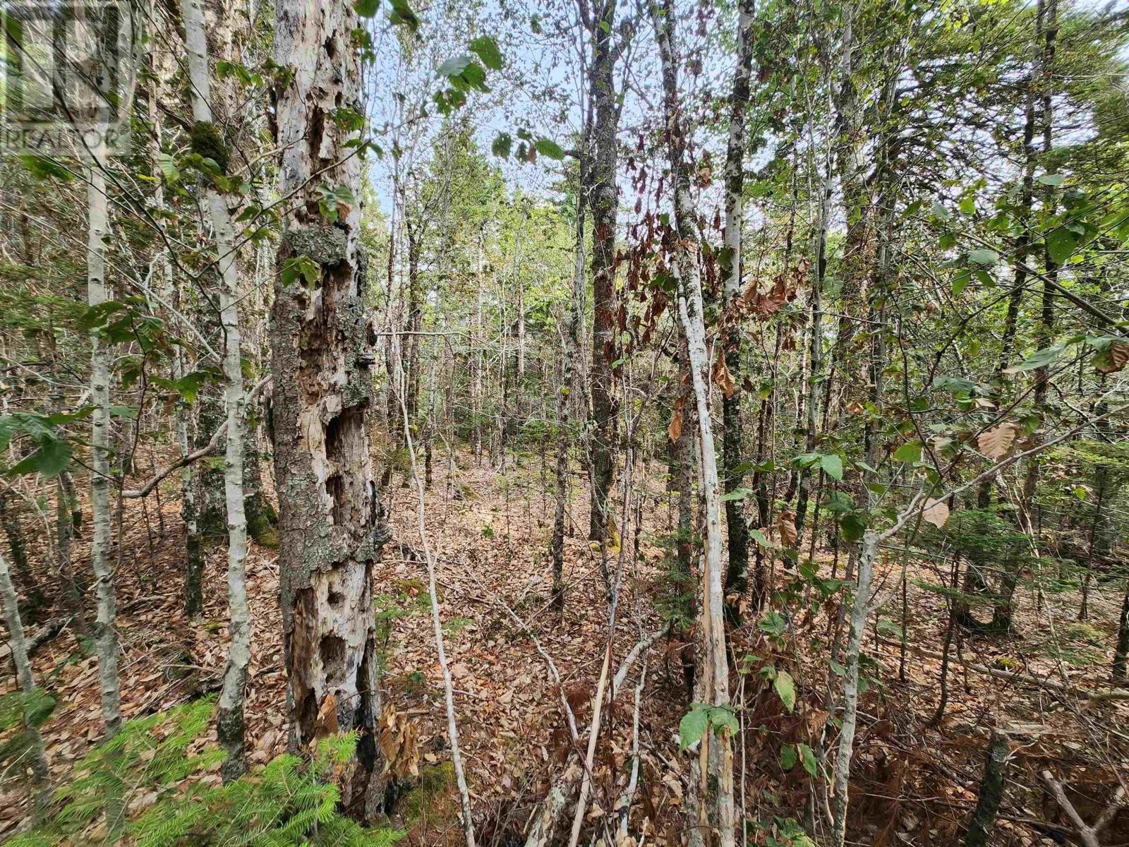 












Lot 69 Turner Point Crossover

,
Walden,







Nova Scotia
B0J2E0

