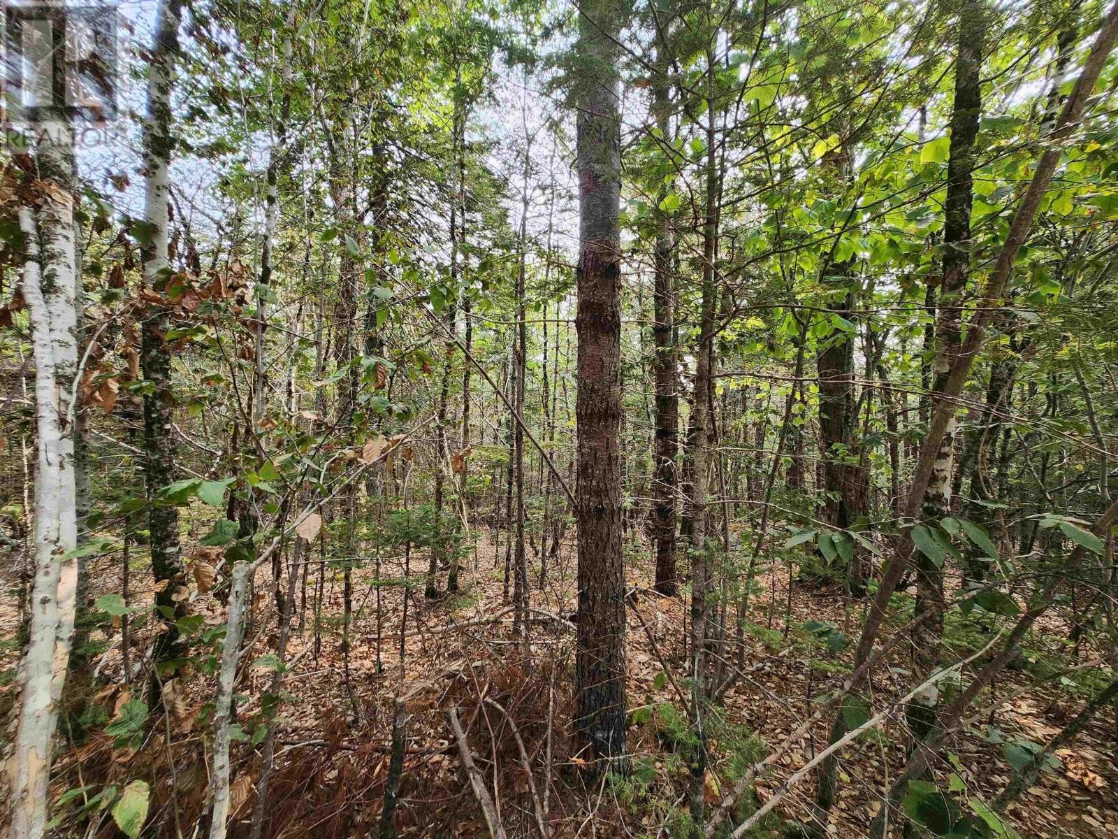 












Lot 69 Turner Point Crossover

,
Walden,







Nova Scotia
B0J2E0

