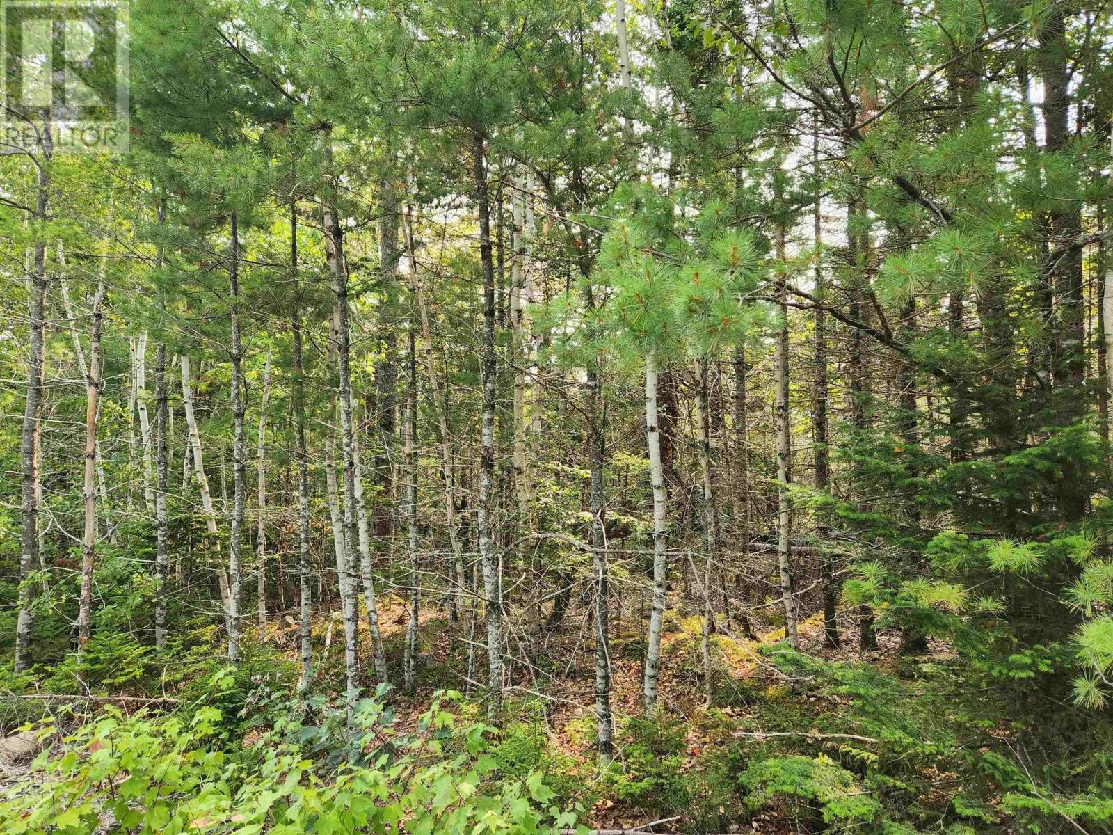 












Lot 70 Turner Point Crossover

,
Walden,







Nova Scotia
B0J2E0

