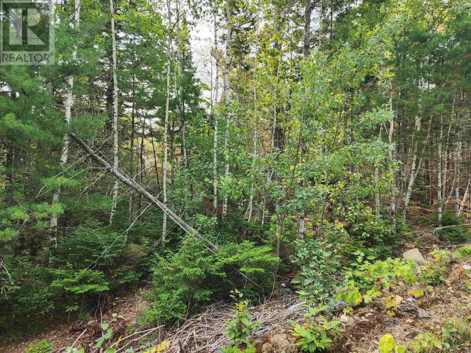 












Lot 70 Turner Point Crossover

,
Walden,







Nova Scotia
B0J2E0

