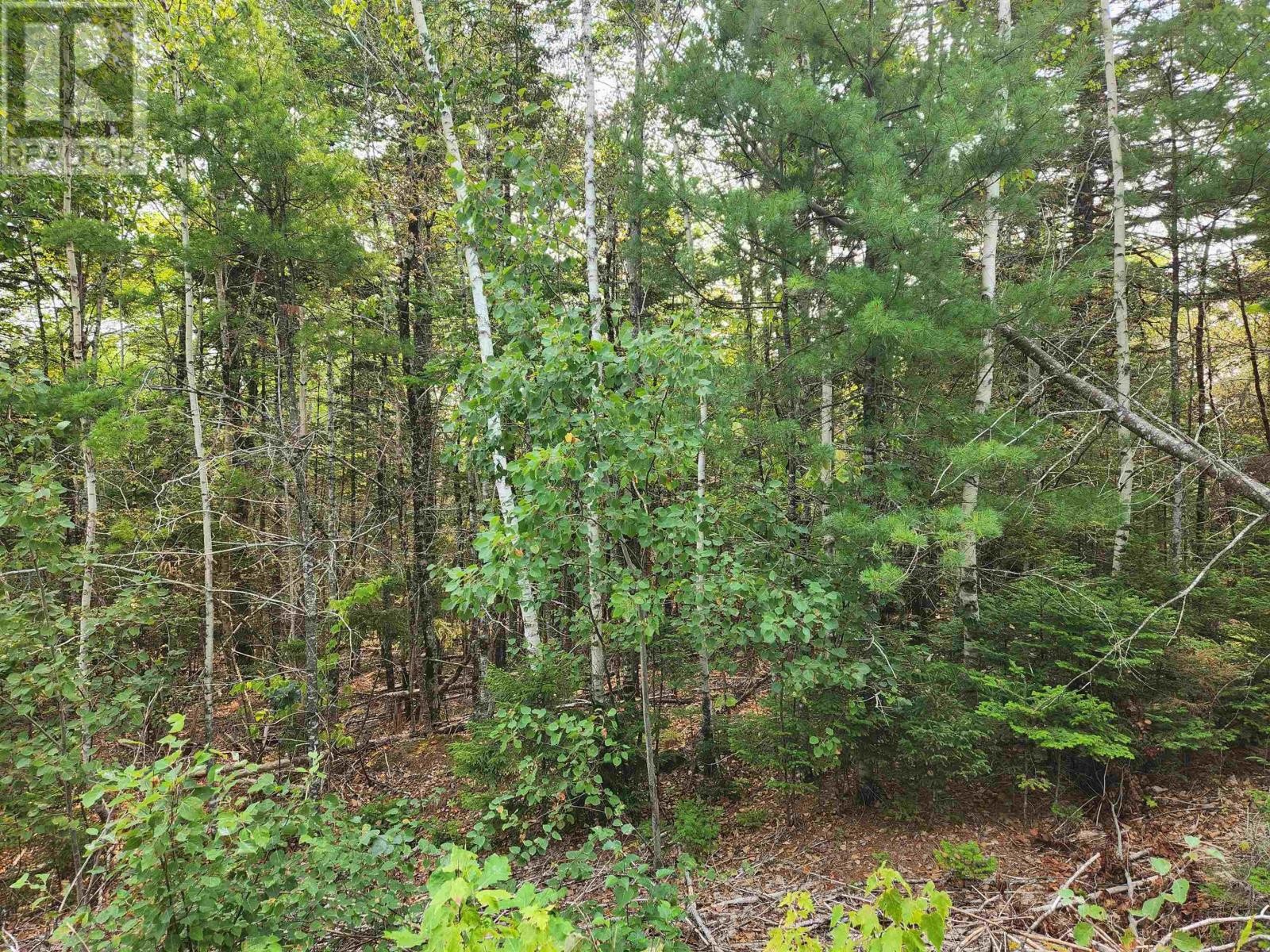 












Lot 70 Turner Point Crossover

,
Walden,







Nova Scotia
B0J2E0

