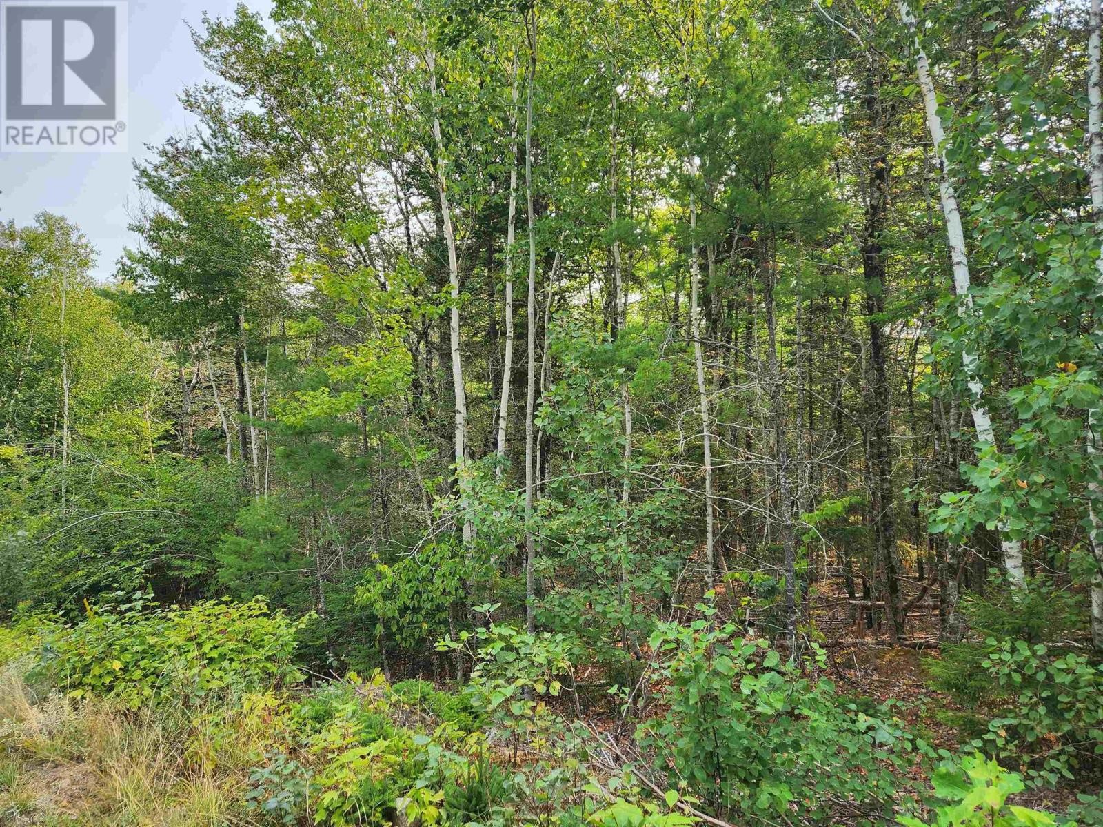 












Lot 70 Turner Point Crossover

,
Walden,







Nova Scotia
B0J2E0

