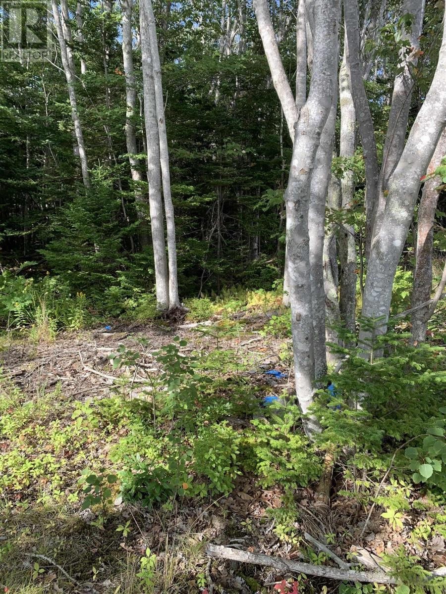 












126 Belleville South Road

,
Tusket,







Nova Scotia
B0W3M0

