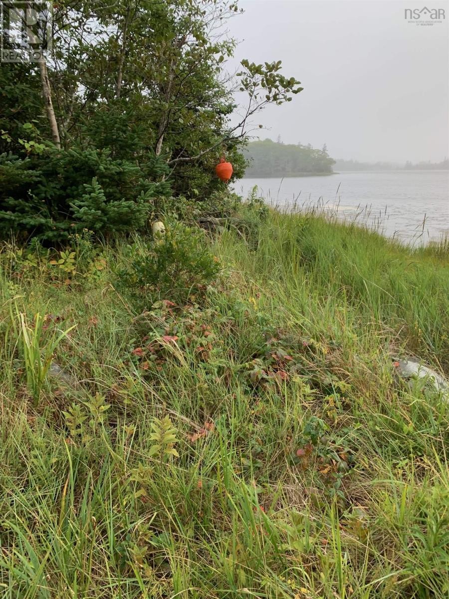 












126 Belleville South Road

,
Tusket,







Nova Scotia
B0W3M0

