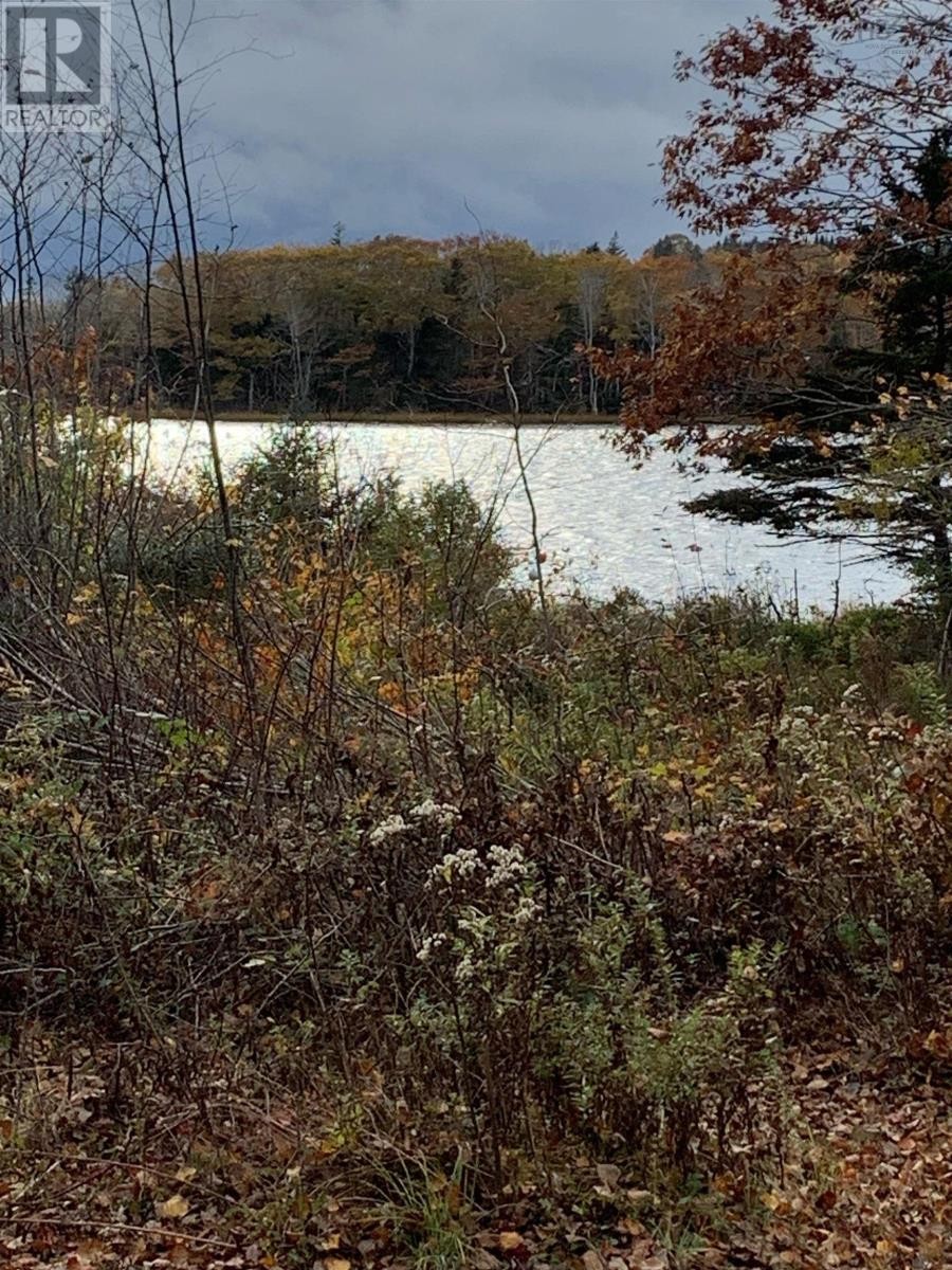 












126 Belleville South Road

,
Tusket,







Nova Scotia
B0W3M0

