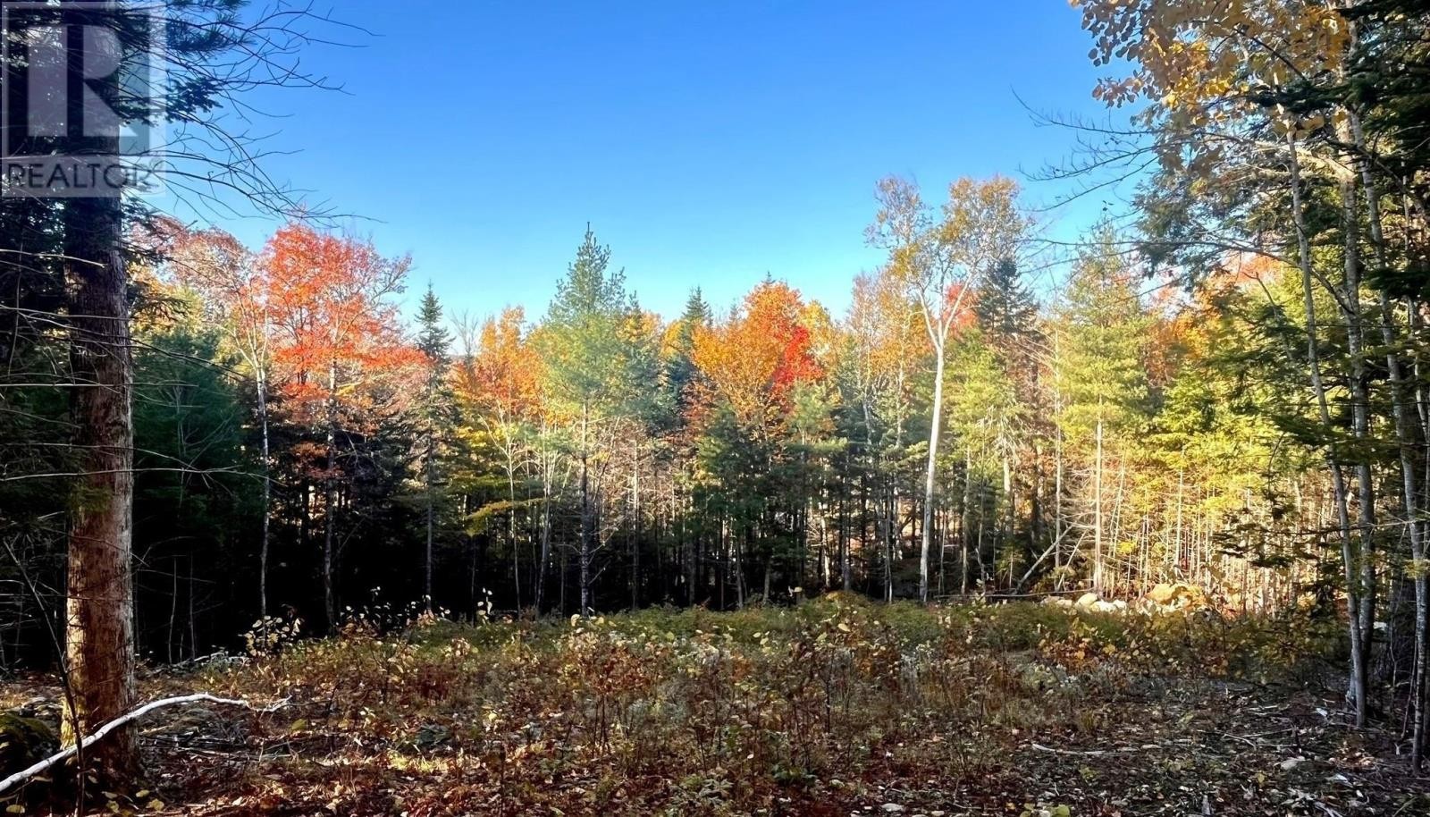 












Lot 109 Blue Jay Way

,
Vaughan,







Nova Scotia
B0N2T0

