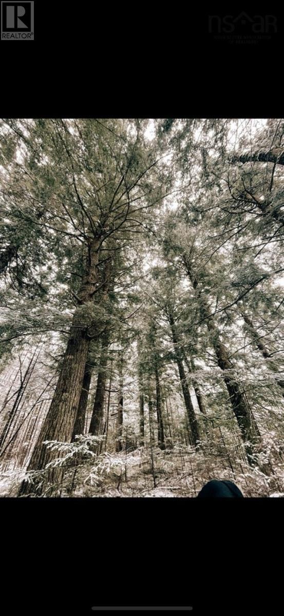 












Lot B4 Cloverdale Road

,
Stewiacke East,







Nova Scotia
B0N2J0

