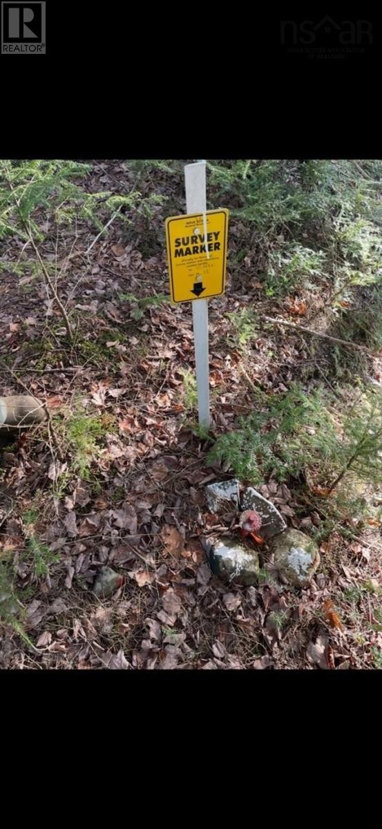 












Lot B4 Cloverdale Road

,
Stewiacke East,







Nova Scotia
B0N2J0

