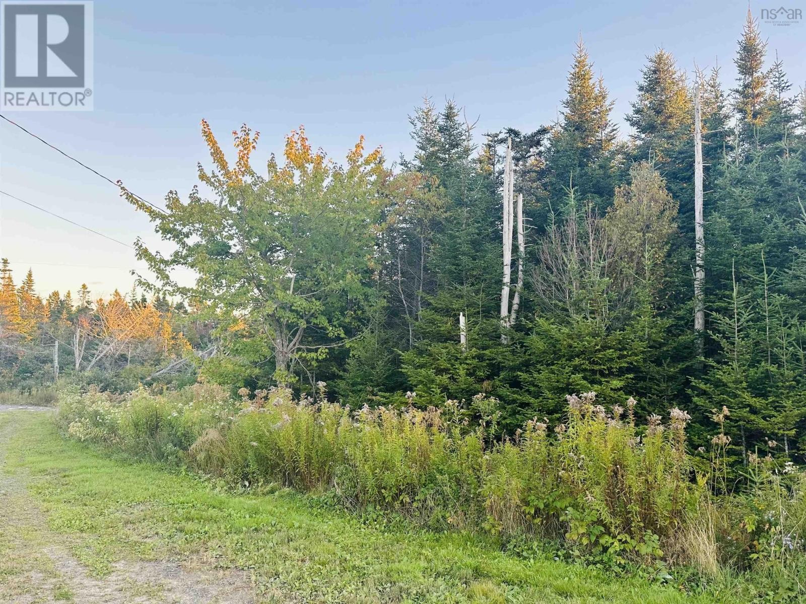 












28 Flat Point Road

,
Clam Harbour,







Nova Scotia
B0Y1Y0

