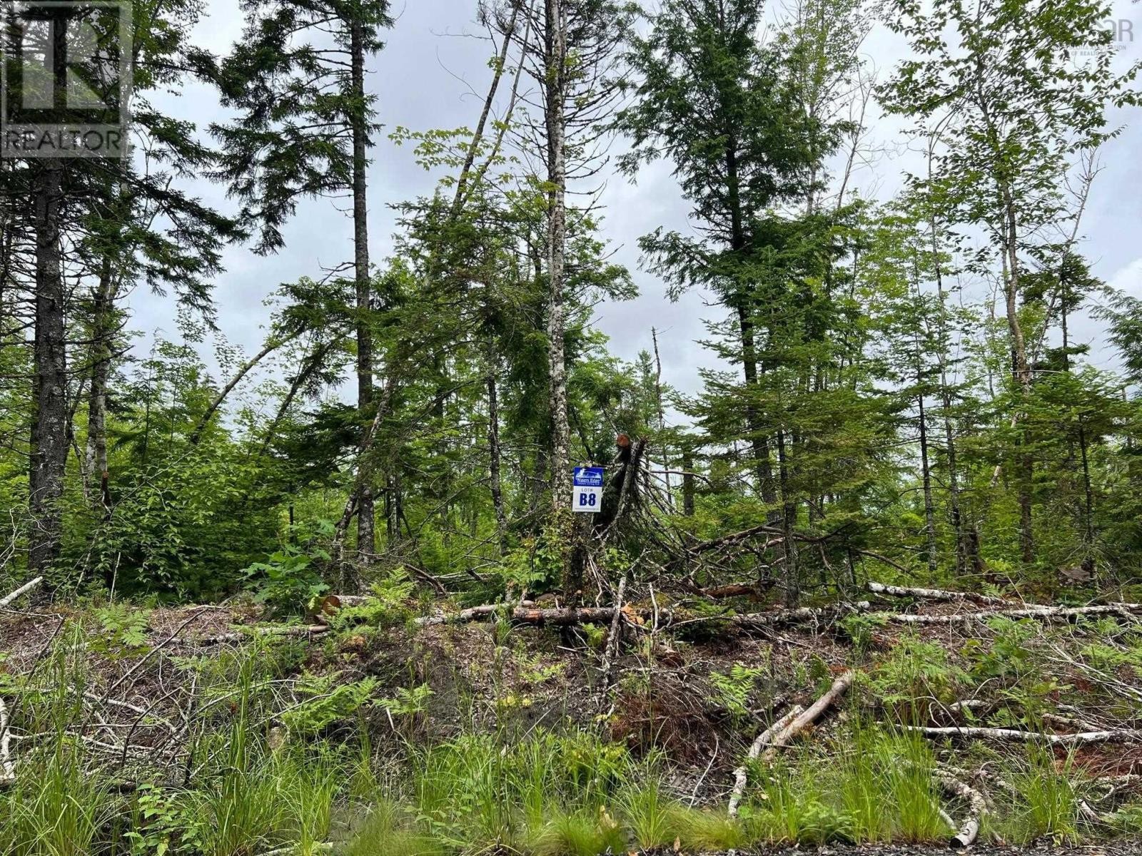 












Lot 55 Russells Cove Road

,
Parkdale,







Nova Scotia
B0R1A0

