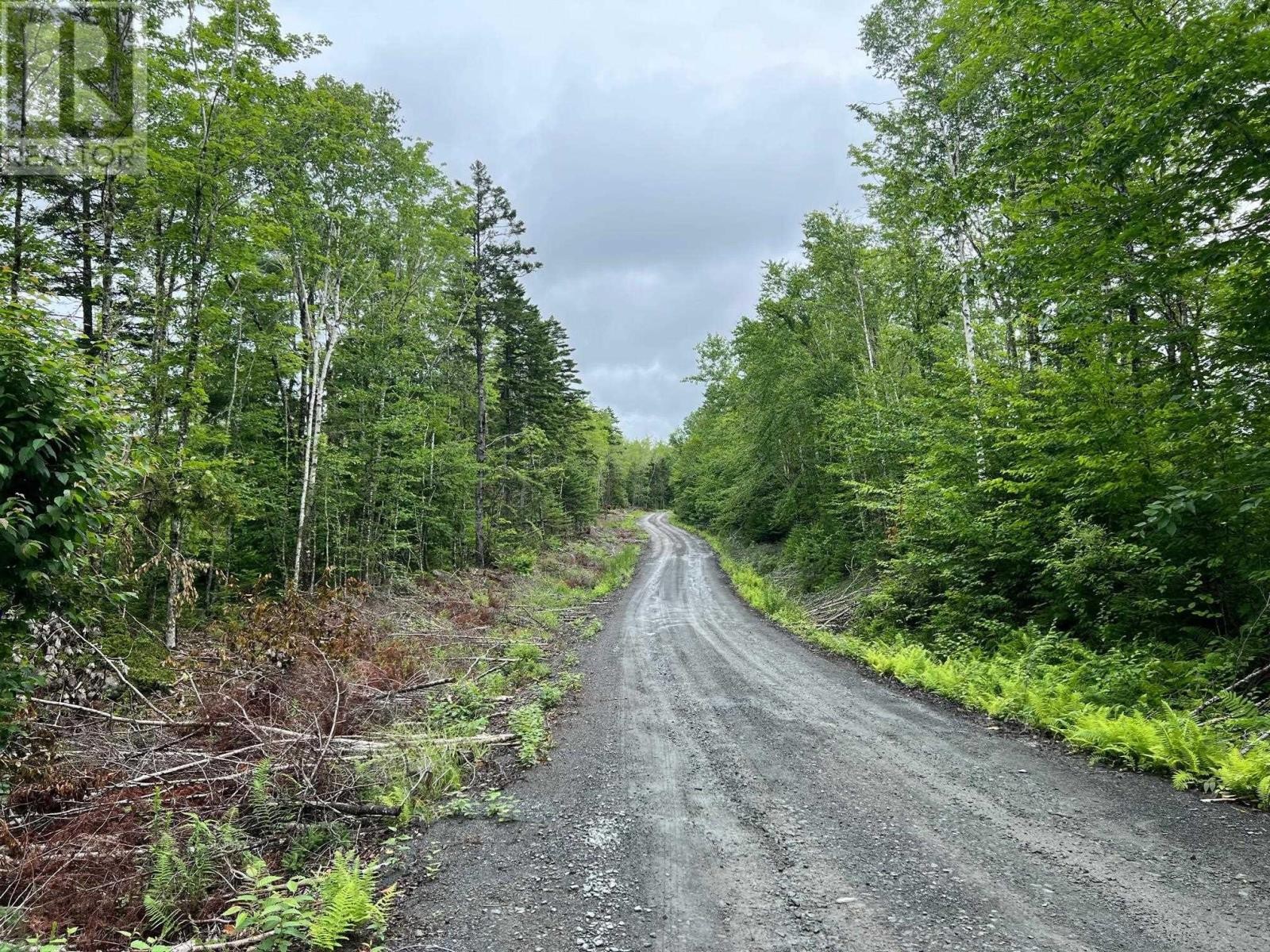 












Lot 55 Russells Cove Road

,
Parkdale,







Nova Scotia
B0R1A0

