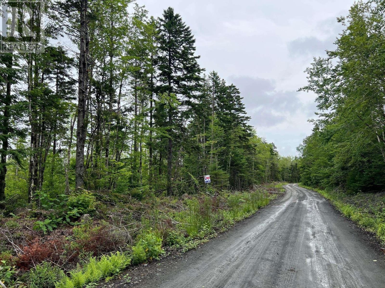 












Lot 55 Russells Cove Road

,
Parkdale,







Nova Scotia
B0R1A0

