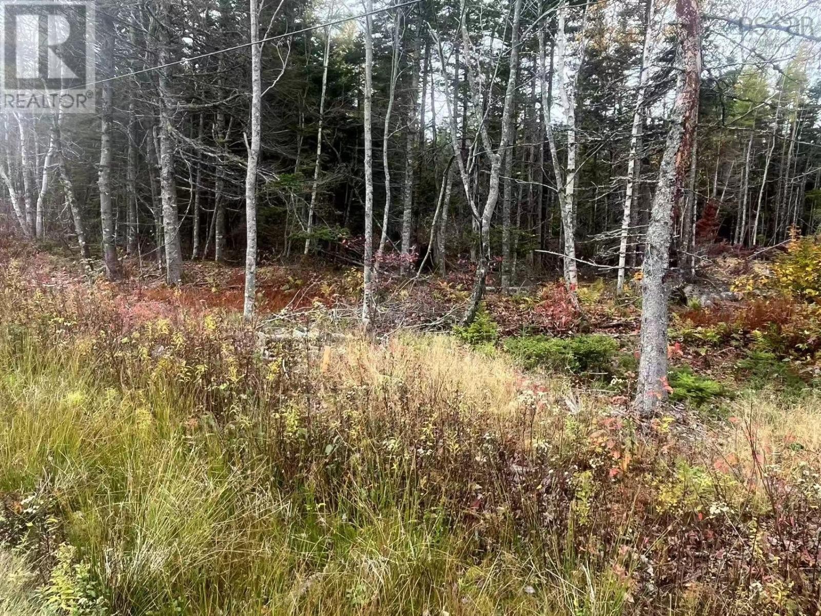 












Lot Gabarus Highway

,
Dutch Brook,







Nova Scotia
B1L1G2

