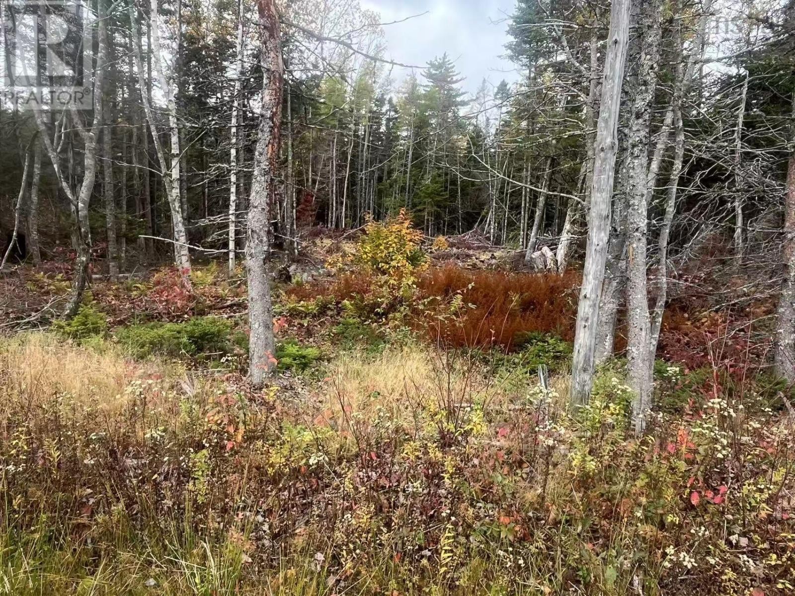 












Lot Gabarus Highway

,
Dutch Brook,







Nova Scotia
B1L1G2

