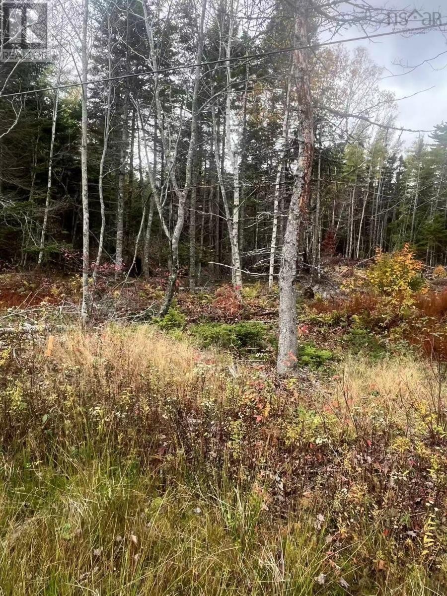 












Lot Gabarus Highway

,
Dutch Brook,







Nova Scotia
B1L1G2

