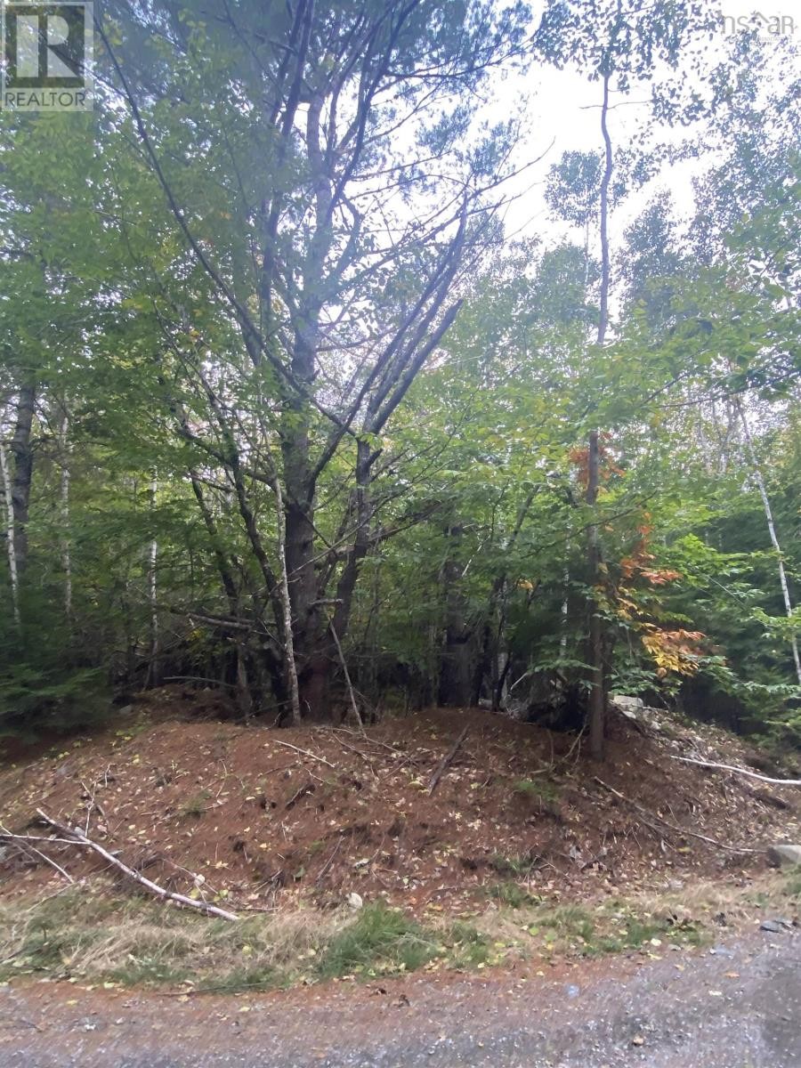 












Lot 56 Ponhook View Drive

,
Labelle,







Nova Scotia
B0T1E0

