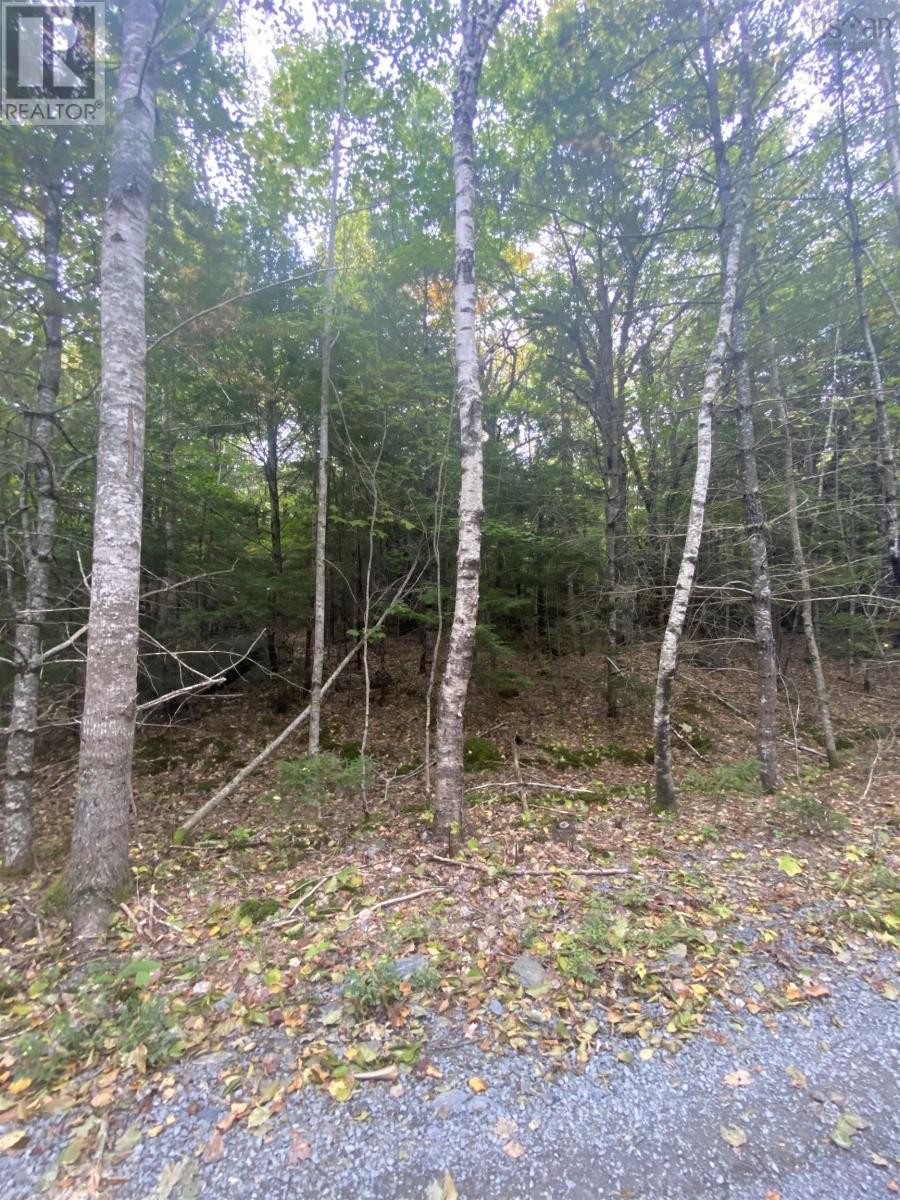 












Lot 56 Ponhook View Drive

,
Labelle,







Nova Scotia
B0T1E0

