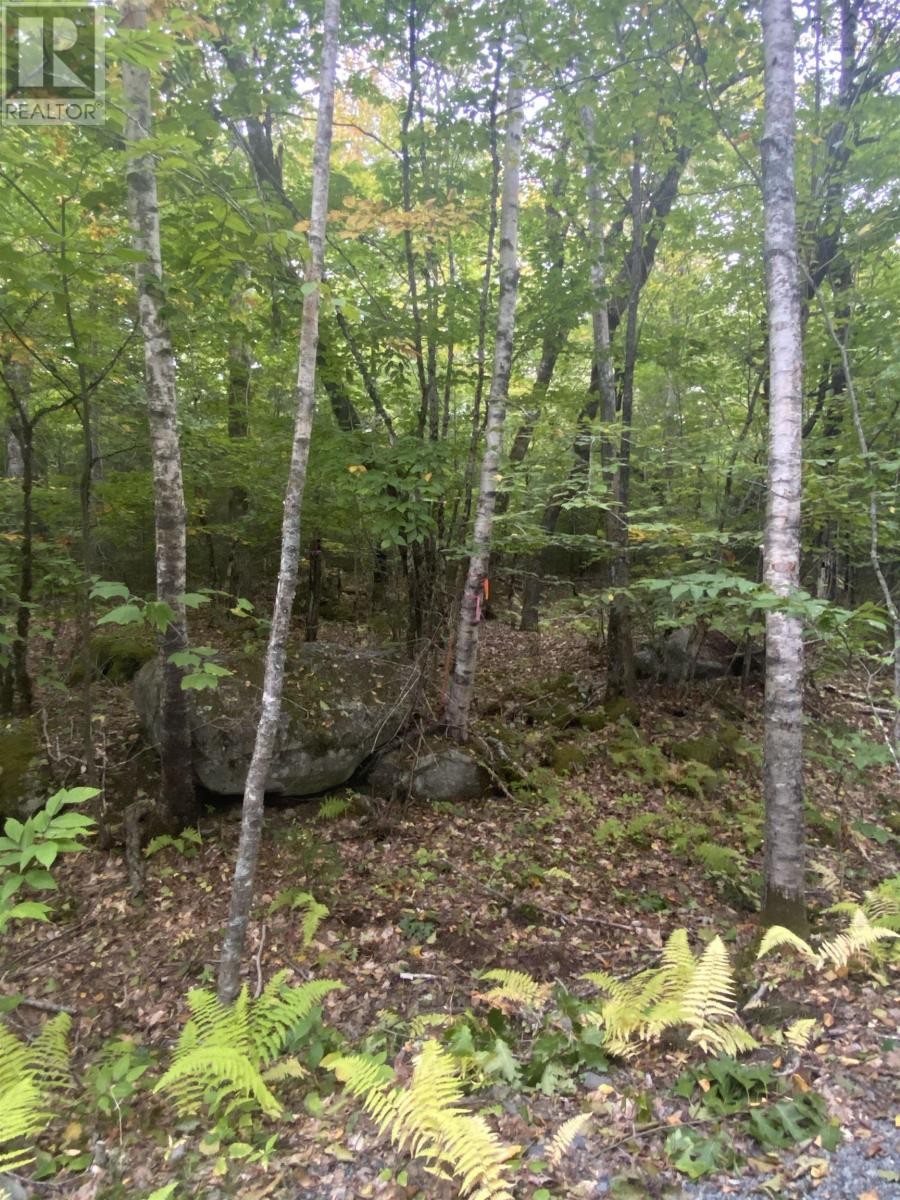 












Lot 56 Ponhook View Drive

,
Labelle,







Nova Scotia
B0T1E0

