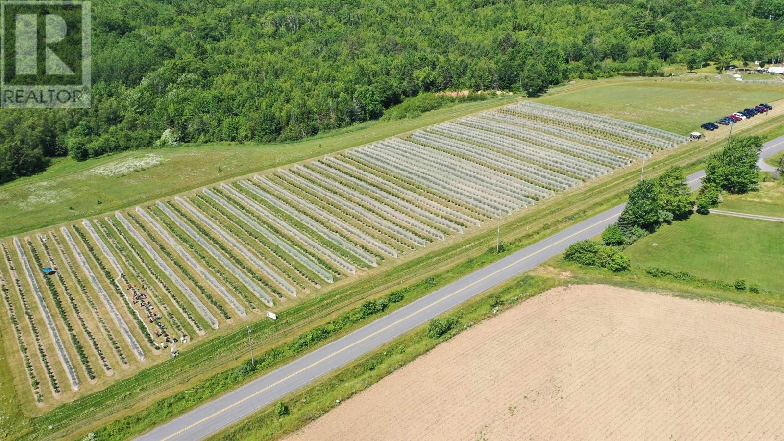 












25-1 28B Mines Road

,
Upper Falmouth,







Nova Scotia
B0P1L0

