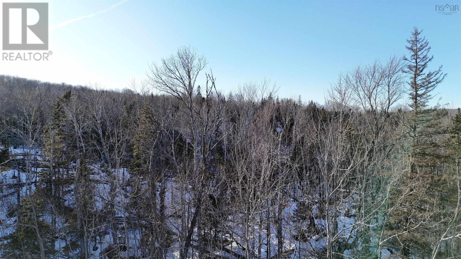 












Laggan Road

,
Kenzieville,







Nova Scotia
B0K1A0

