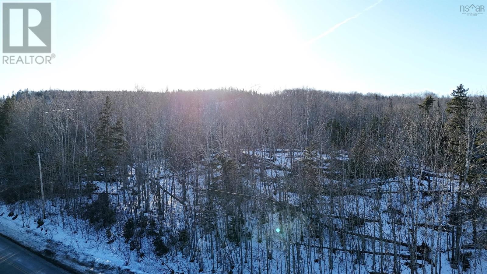 












Laggan Road

,
Kenzieville,







Nova Scotia
B0K1A0

