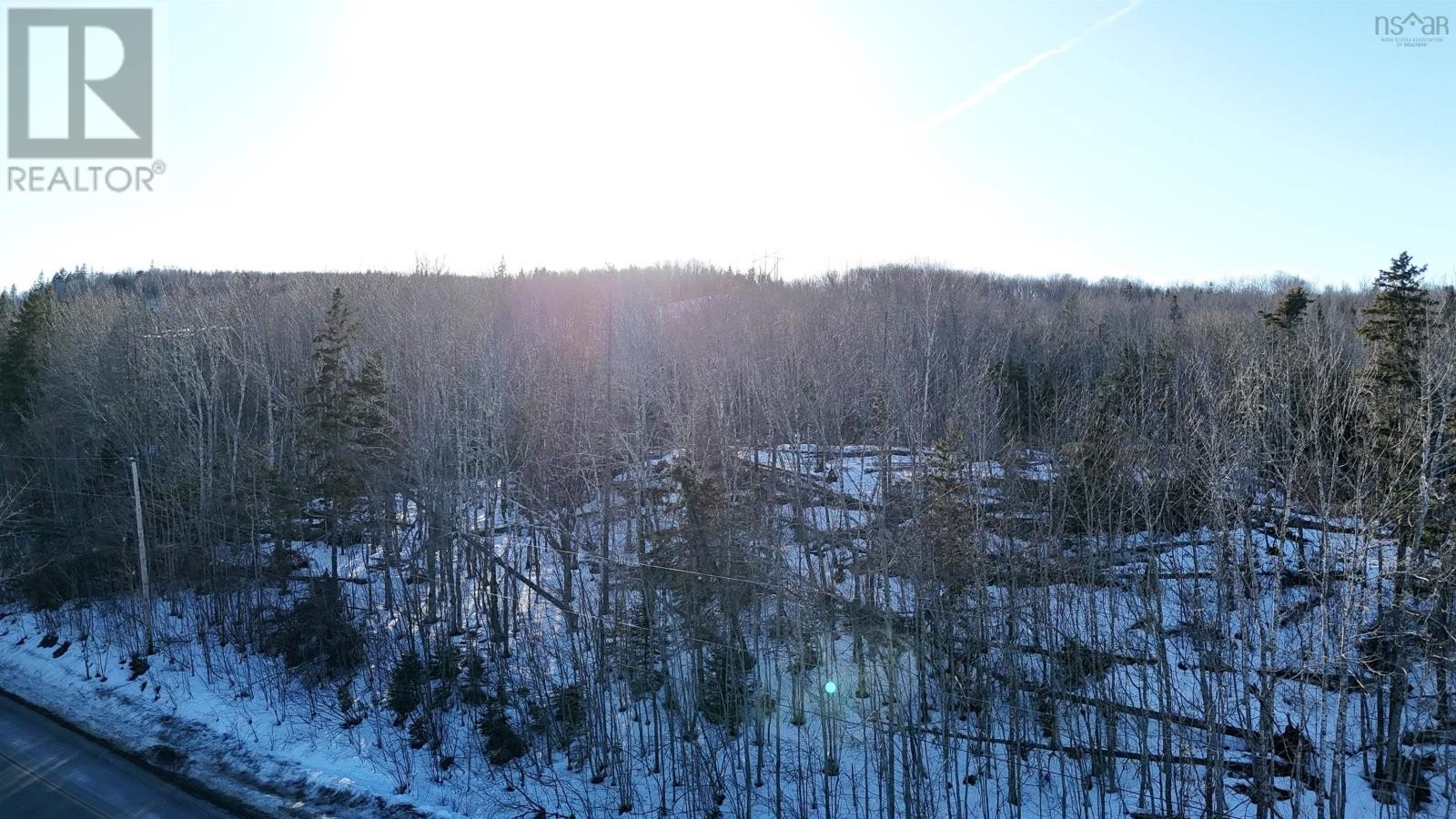 












Laggan Road

,
Kenzieville,







Nova Scotia
B0K1A0

