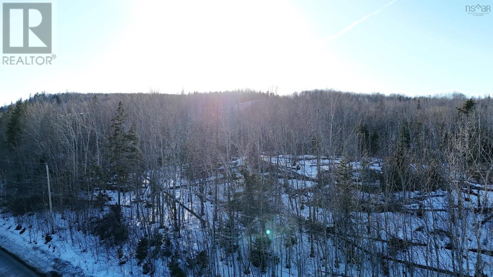 












Laggan Road

,
Kenzieville,







Nova Scotia
B0K1A0

