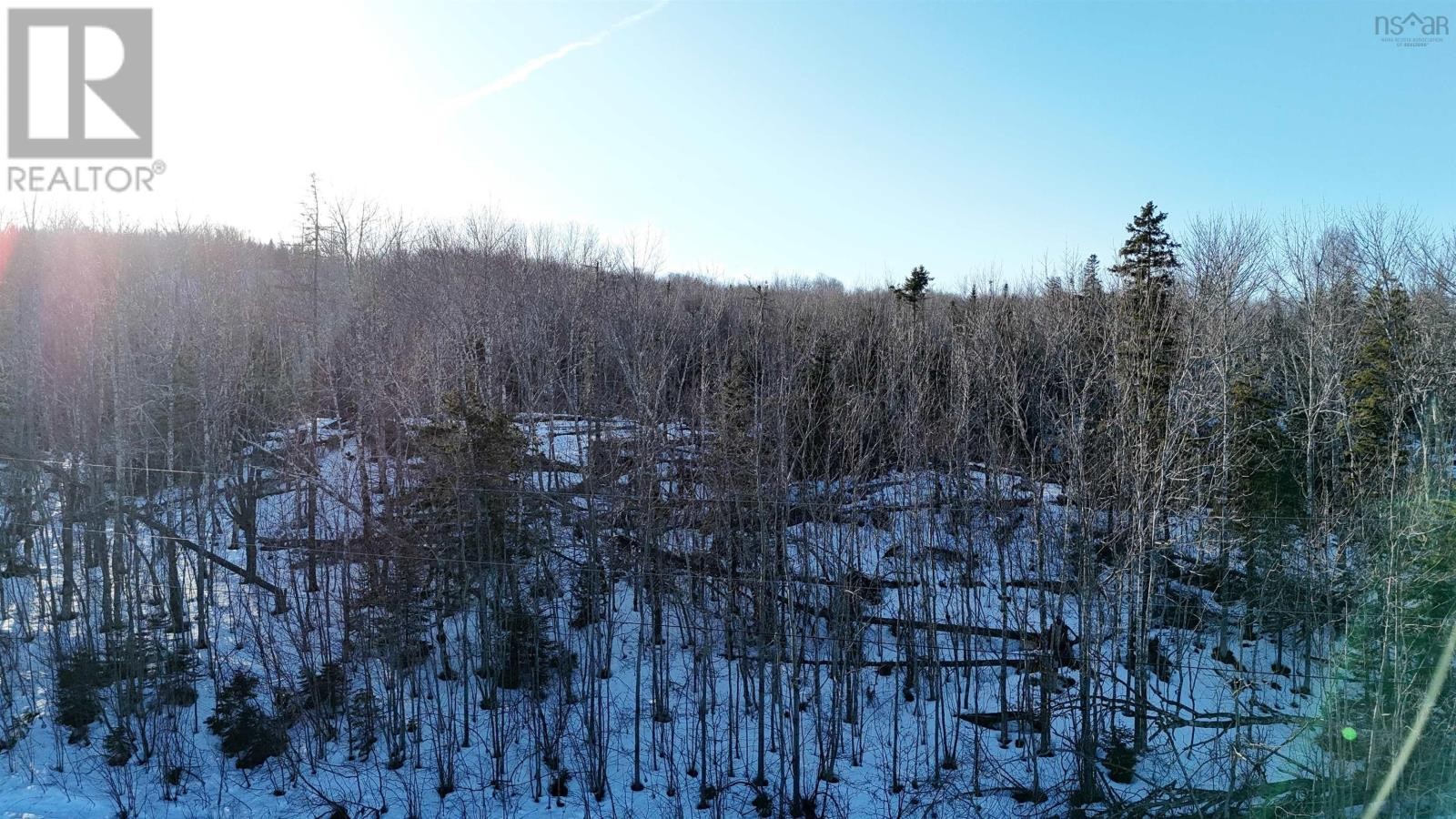 












Laggan Road

,
Kenzieville,







Nova Scotia
B0K1A0

