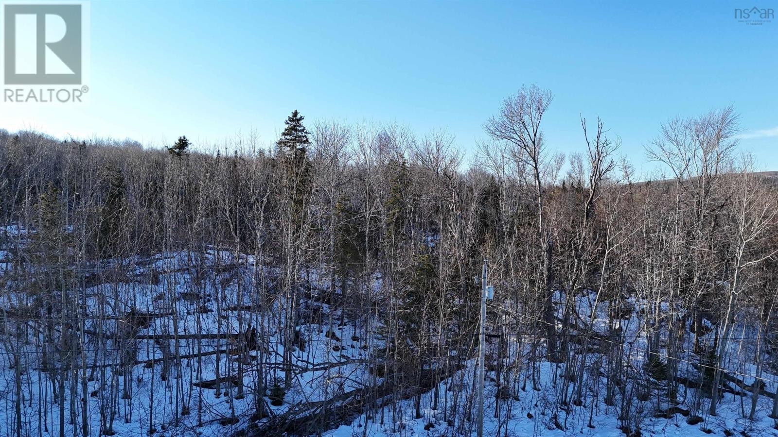 












Laggan Road

,
Kenzieville,







Nova Scotia
B0K1A0

