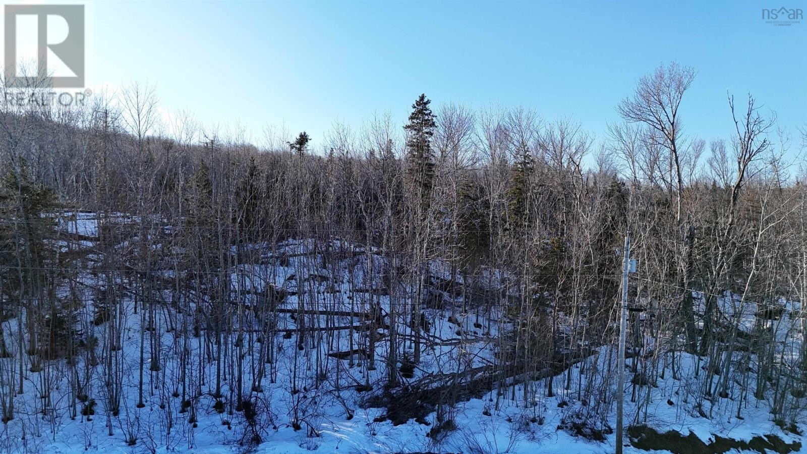 












Laggan Road

,
Kenzieville,







Nova Scotia
B0K1A0

