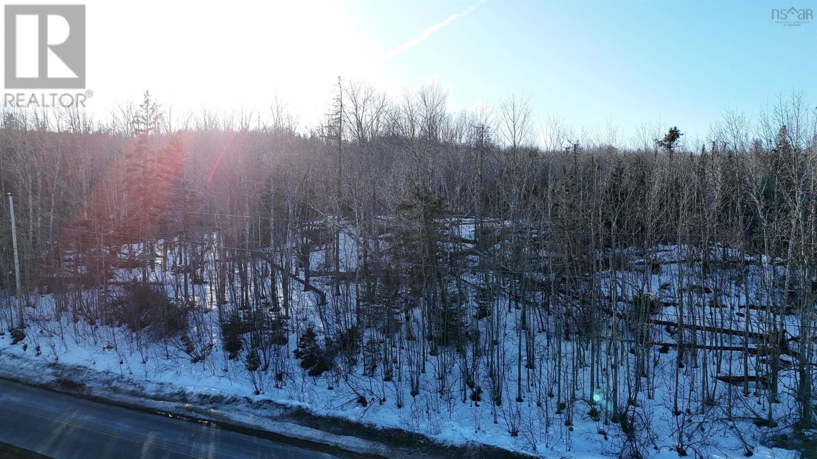 












Laggan Road

,
Kenzieville,







Nova Scotia
B0K1A0

