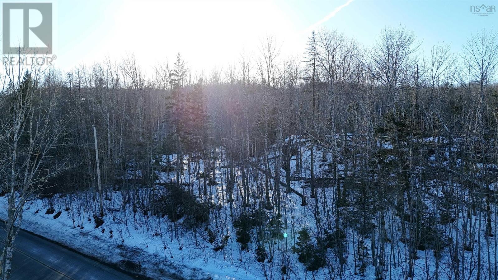 












Laggan Road

,
Kenzieville,







Nova Scotia
B0K1A0

