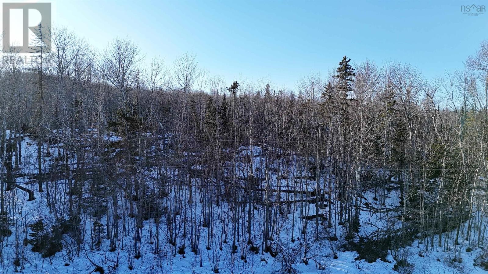 












Laggan Road

,
Kenzieville,







Nova Scotia
B0K1A0

