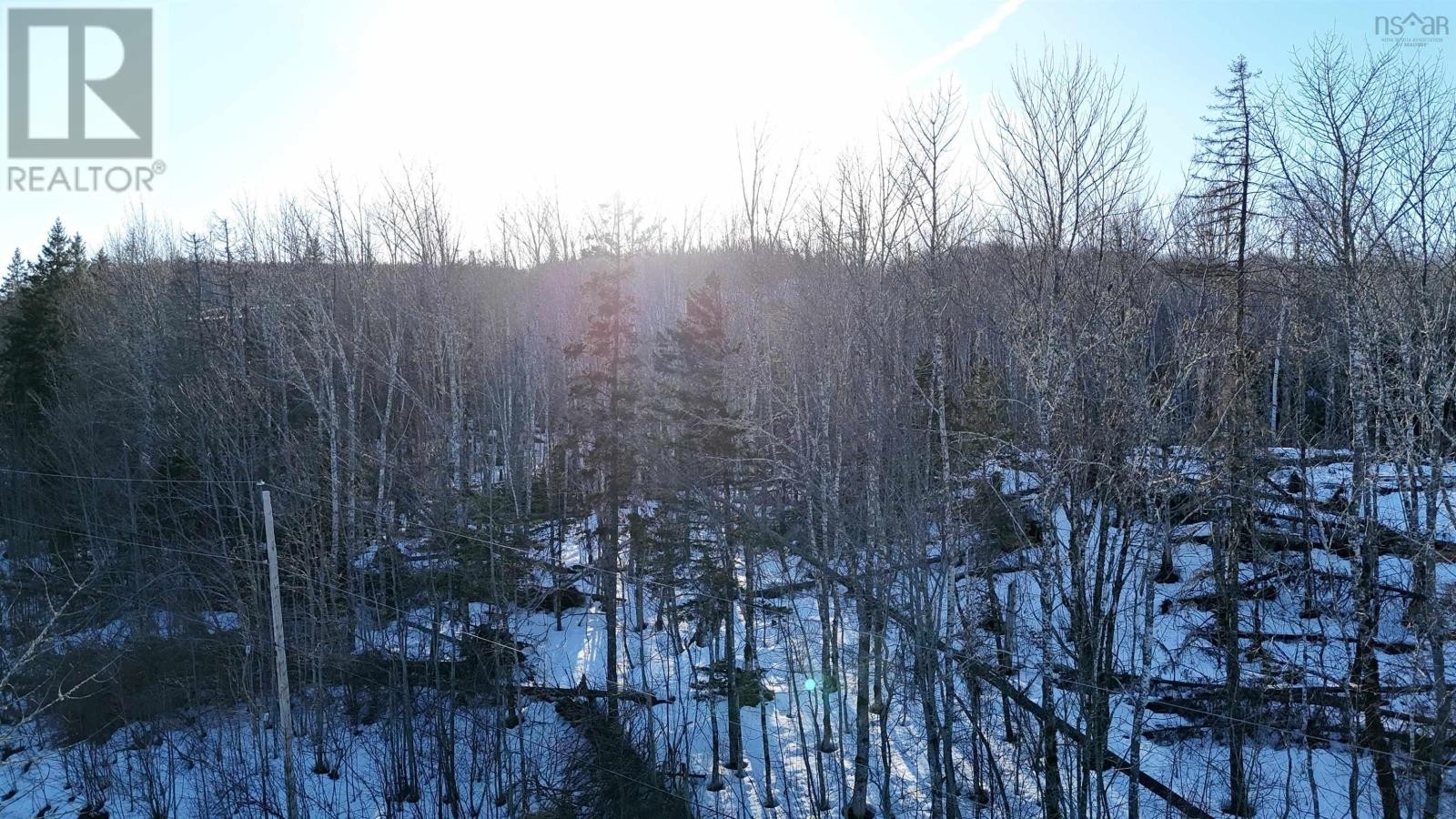 












Laggan Road

,
Kenzieville,







Nova Scotia
B0K1A0

