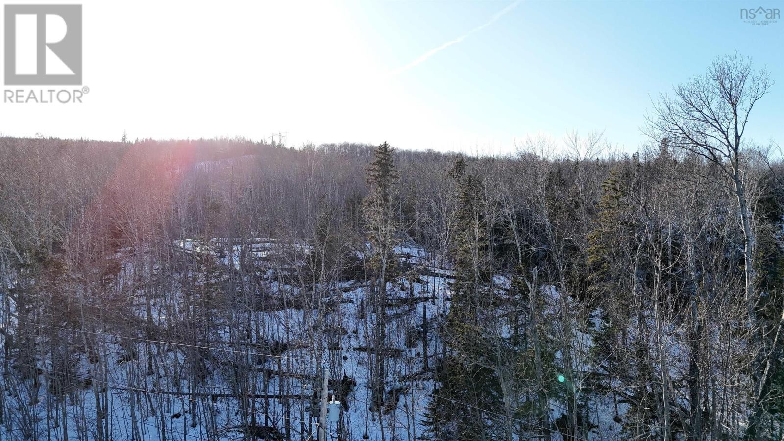 












Laggan Road

,
Kenzieville,







Nova Scotia
B0K1A0

