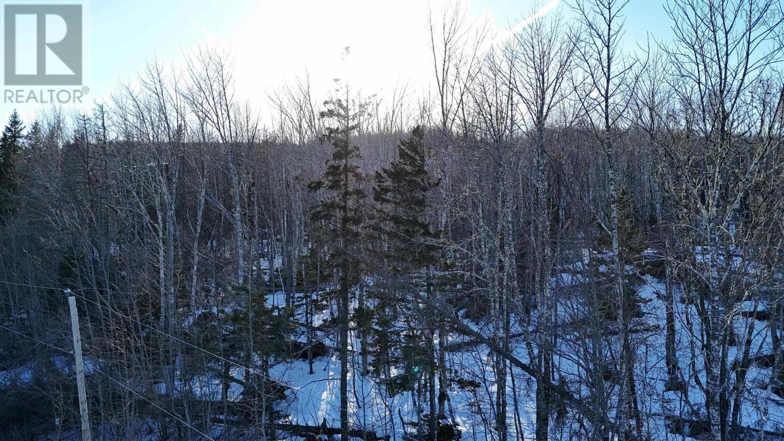 












Laggan Road

,
Kenzieville,







Nova Scotia
B0K1A0

