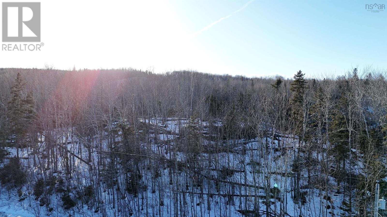 












Laggan Road

,
Kenzieville,







Nova Scotia
B0K1A0

