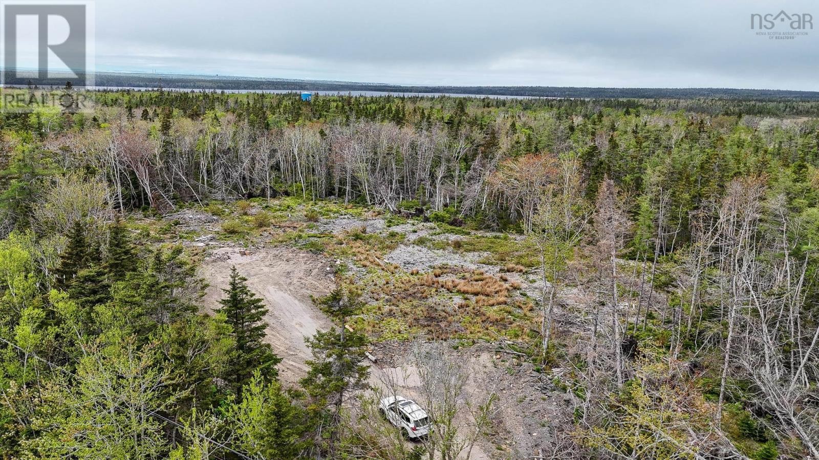 












Birch Grove Road

,
Port Morien,







Nova Scotia
B1B1J3

