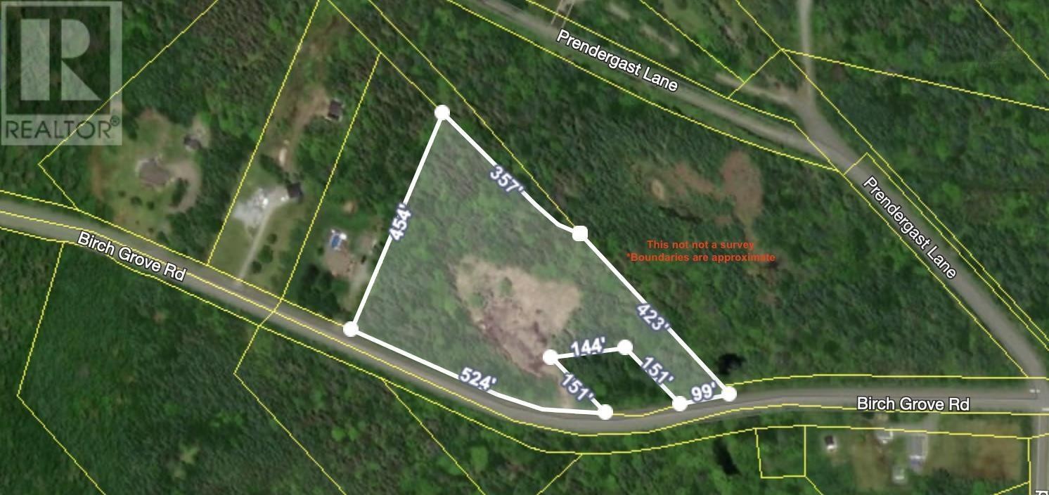 












Birch Grove Road

,
Port Morien,







Nova Scotia
B1B1J3

