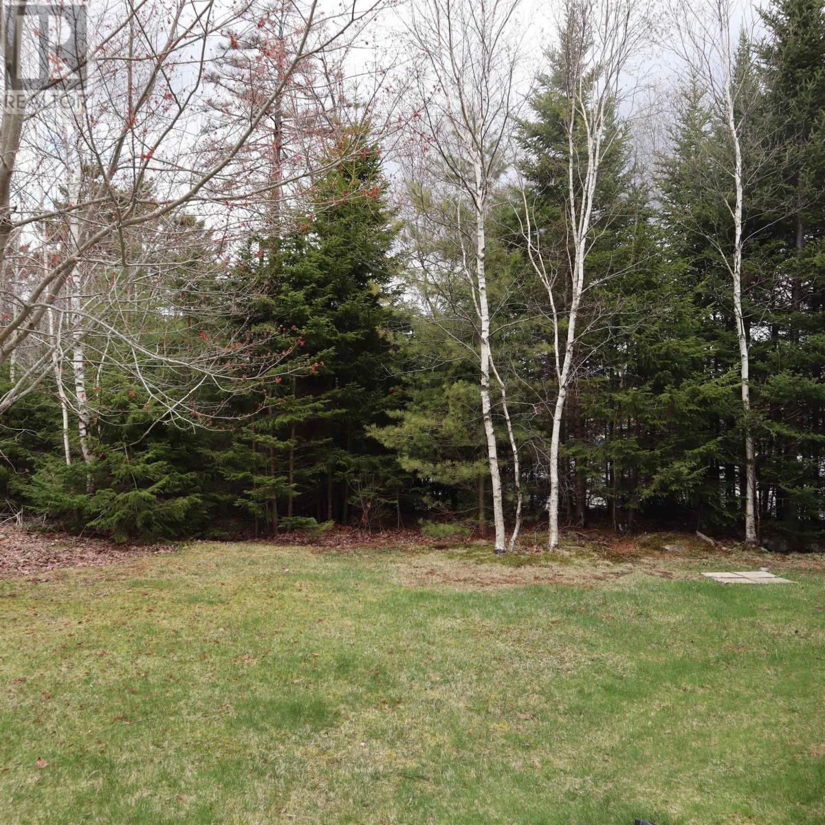 












185 Avenue Du Portage

,
Dartmouth,




Nova Scotia
B2X3S3

