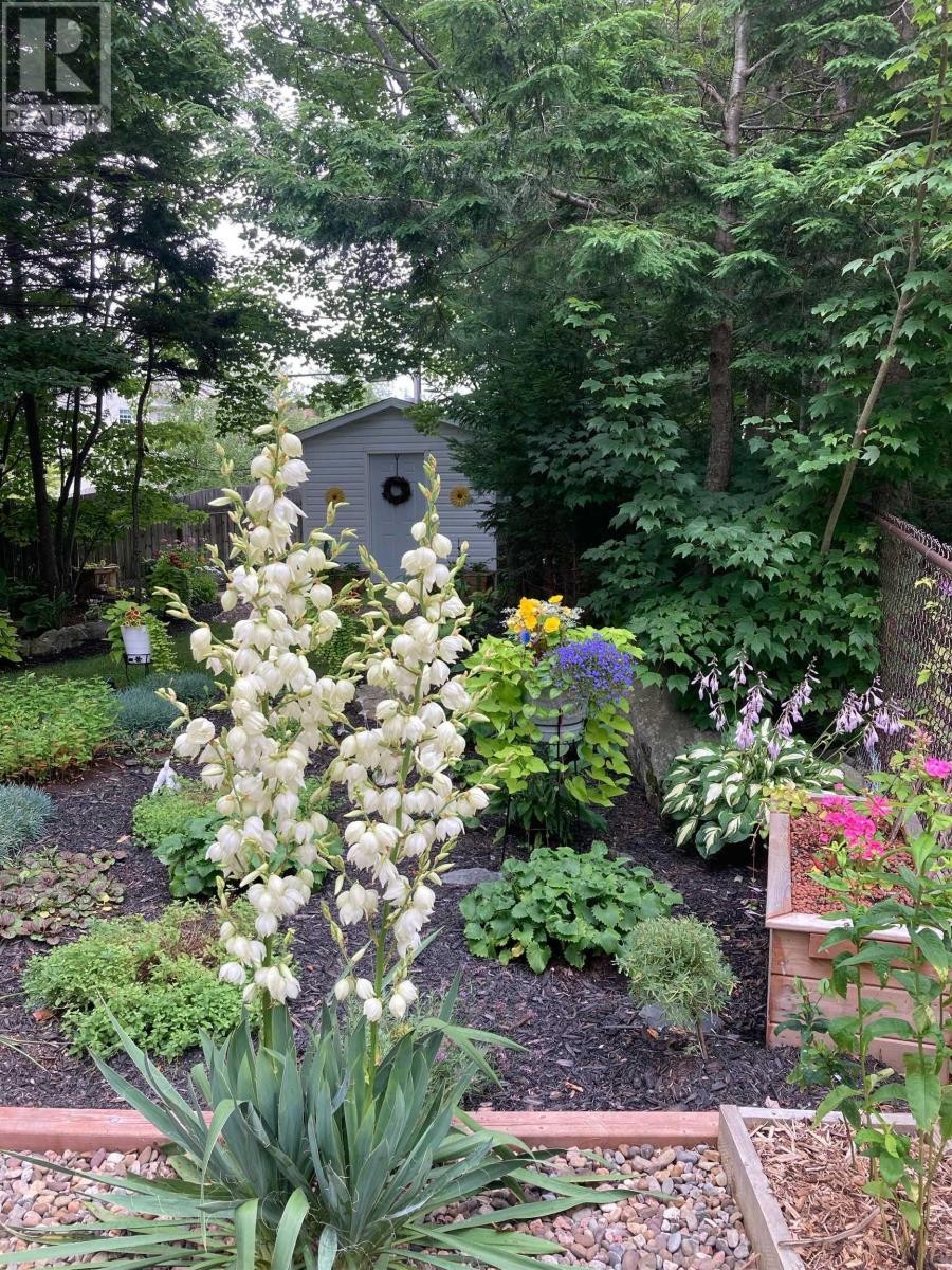 












46 Stone Gate Court

,
Dartmouth,




Nova Scotia
B2X3T2

